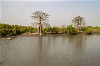 Gambiya hava tahmini