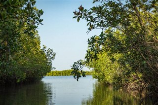 Gambiya hava tahmini