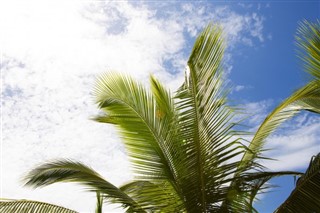 Gambiya hava tahmini