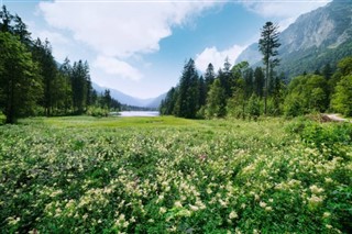 Tyskland vejrudsigt