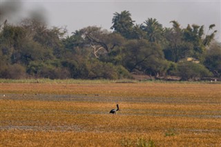 Ghana prévisions météorologiques