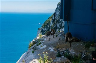 Gibraltar vejrudsigt