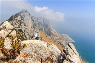 Gibraltar vejrudsigt