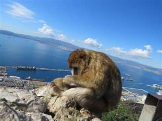 Cebelitarık Hava tahmini