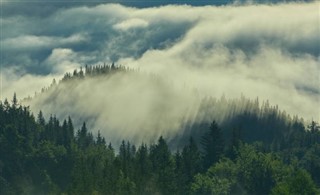 Tierra Verde pronóstico del tiempo