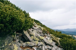 Grönland pronóstico del tiempo