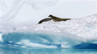 Greenland weather forecast