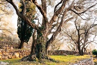 Grenada időjárás-jelentés