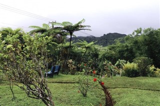 Grenada hava tahmini