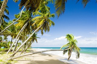 Grenada vejrudsigt
