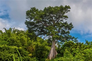 Grenada hava tahmini
