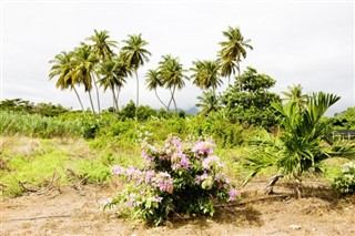 Grenada hava tahmini