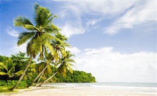Grenada vejrudsigt