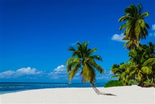 Grenada hava tahmini
