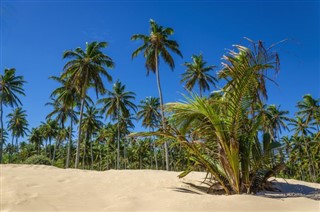 Grenada hava tahmini