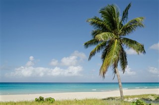 Grenada hava tahmini