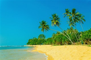 Grenada Hava tahmini