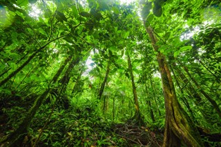 Guadeloupe vejrudsigt