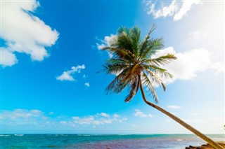 Guadeloupe hava tahmini