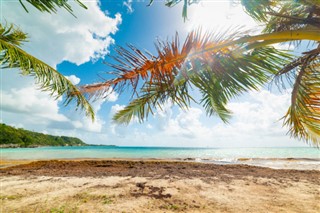 Guadeloupe hava tahmini