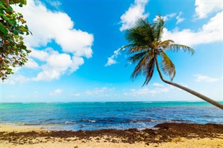 Guadeloupe prévisions météorologiques