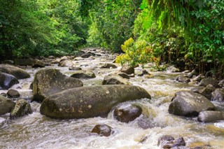 Guadeloupe hava tahmini