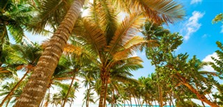 Guadeloupe weather forecast