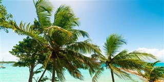 Guadeloupe hava tahmini