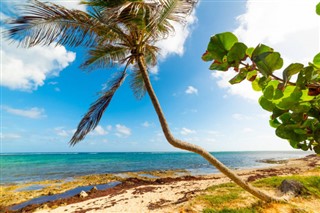 Guadeloupe hava tahmini