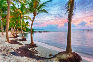Guadeloupe hava tahmini
