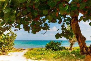 Guadeloupe hava tahmini