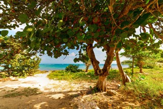 Guadeloupe hava tahmini