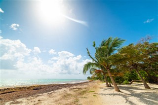 Guadeloupe hava tahmini