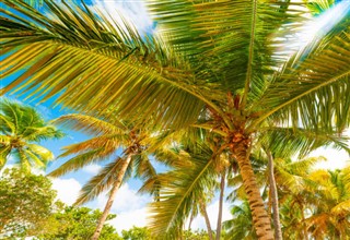 Guadeloupe vejrudsigt