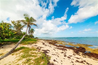 Guadeloupe vejrudsigt