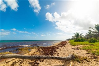 Guadeloupe prévisions météorologiques
