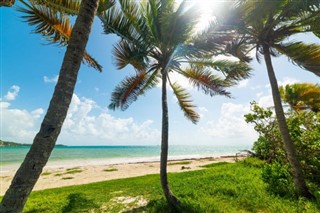 Guadeloupe hava tahmini