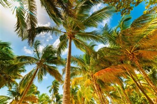 Guadeloupe vejrudsigt