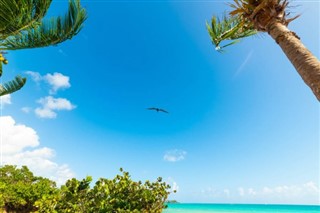 Guadeloupe prévisions météorologiques