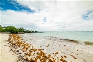 Guadeloupe hava tahmini