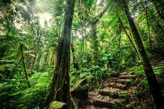 Guadeloupe vejrudsigt