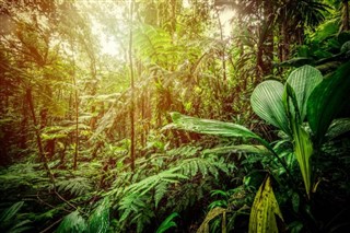 Guadeloupe vejrudsigt