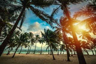 Guadeloupe hava tahmini