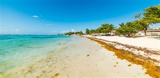 Guadeloupe Hava tahmini