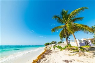 Guadeloupe hava tahmini