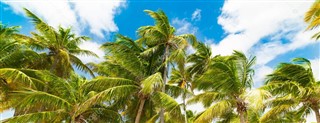 Guadeloupe hava tahmini