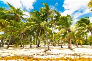 Guadeloupe hava tahmini