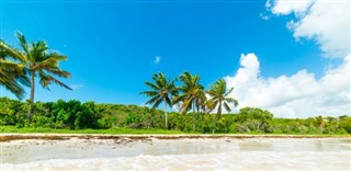 Guadeloupe hava tahmini