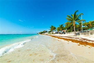 Guadeloupe hava tahmini