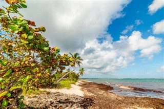 Guadeloupe hava tahmini